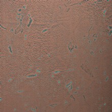 size 2440 x 1220 x 1,3 mm only