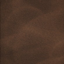 GGZ 009 SR